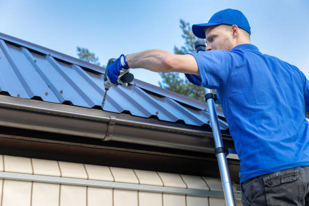Best Roof Maintenance and Cleaning  in Wheaton, MN