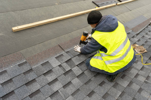 Best Roof Insulation Installation  in Wheaton, MN