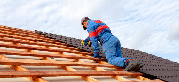 Best Roof Insulation Installation  in Wheaton, MN