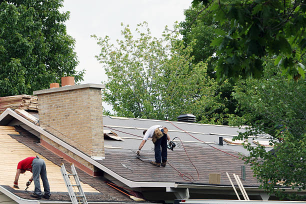 Best Roof Restoration  in Wheaton, MN